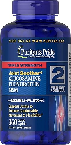 Puritans Pride Glucosamina condroitina y soother-fórmula de 2 por día MSM