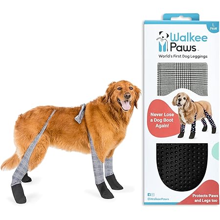 Walkee paws shark tank Clearance