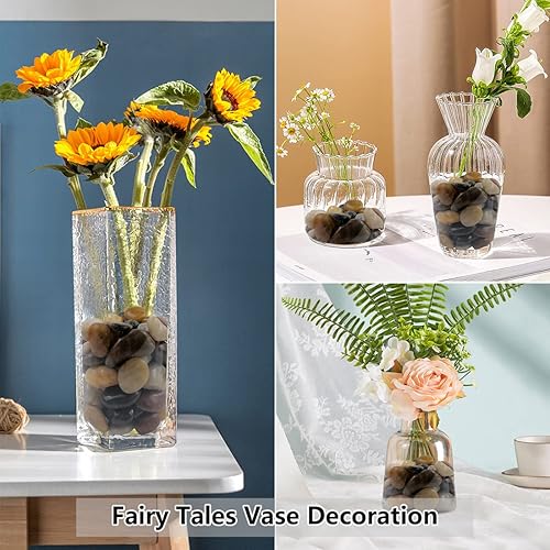 Miniatura 5 de YISZM Piedras blancas decorativas naturales de 5 libras, piedras de roca de río pulidas de 0.7 a 1.2 pulgadas para plantas, jarrón, pecera,