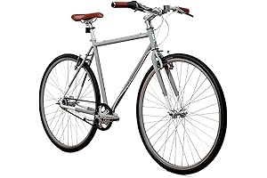 Brilliant L Train Adult Bike: Comfort and Efficiency at Every Turn