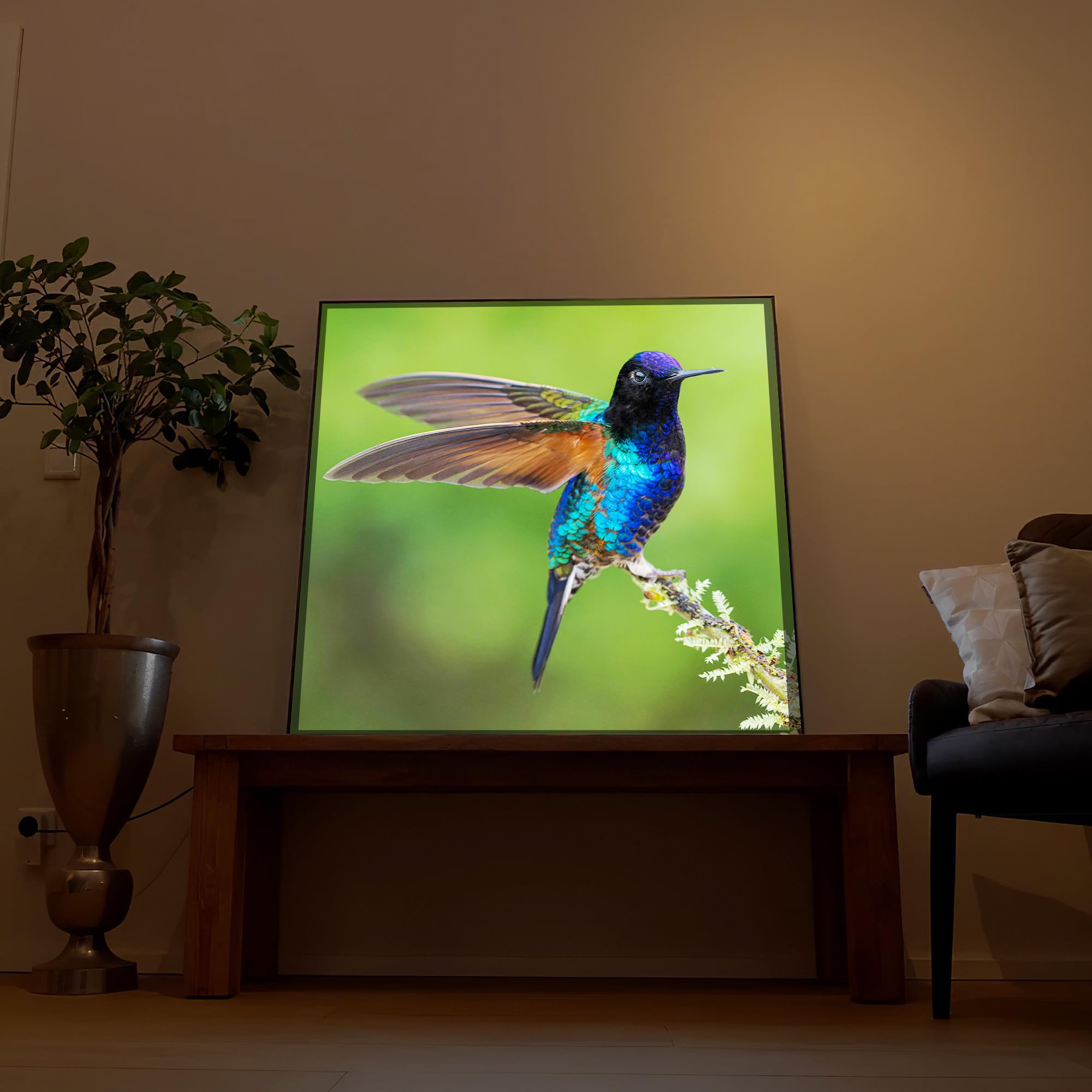 LED Wandbild Bunter Vogel Ast – Beleuchtetes Natur Tier Leuchtbild
