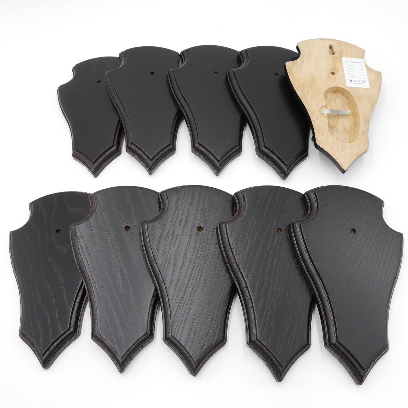 GTK - Geweihe & Trophäen KRUMHOLZ 10 placas de trofeo en forma de corzo pequeño roble oscuro AF 19 cm x 11 cm con 1 compartimento de pino