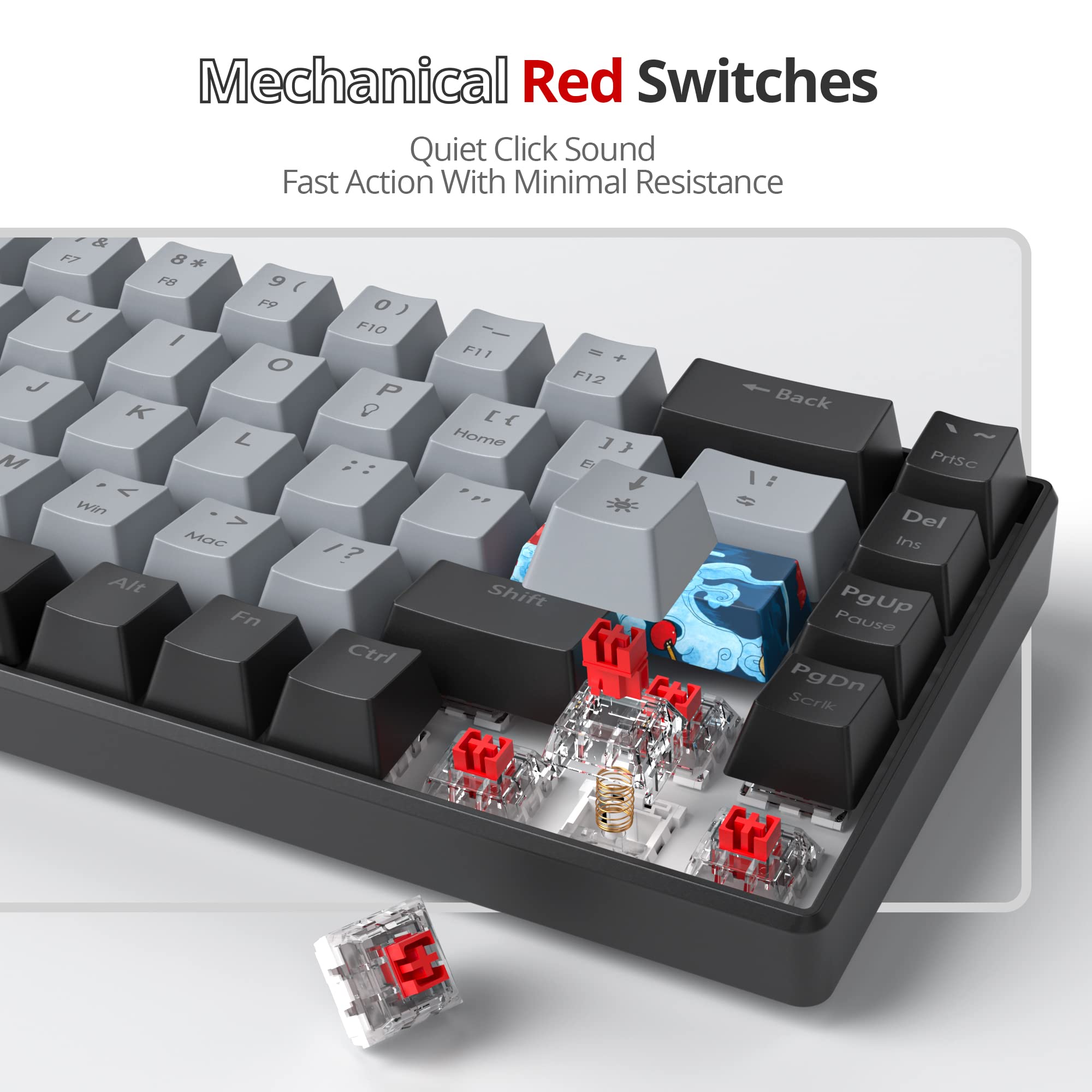 SOLIDEE tastiera da gioco meccanica al 65%,tastiera cablata compatta retroilluminata a LED RGB a 68 tasti con cavo USB di tipo C rimovibile,tastiera da con interruttore rosso lineare per Win(68 Dolch) - 5