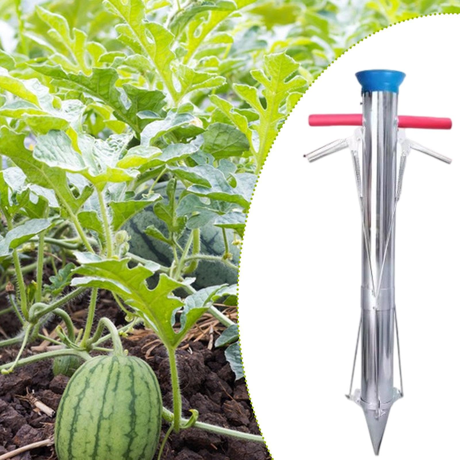 Zwiebelpflanzer Gartenwerkzeug Pflanzwerkzeug Setzlingstransplanter Unkrautstecher mit Ergonomischem Griff Aus Edelstahl für Gemüseanbau Balkon Gärten, Doppelgriff
