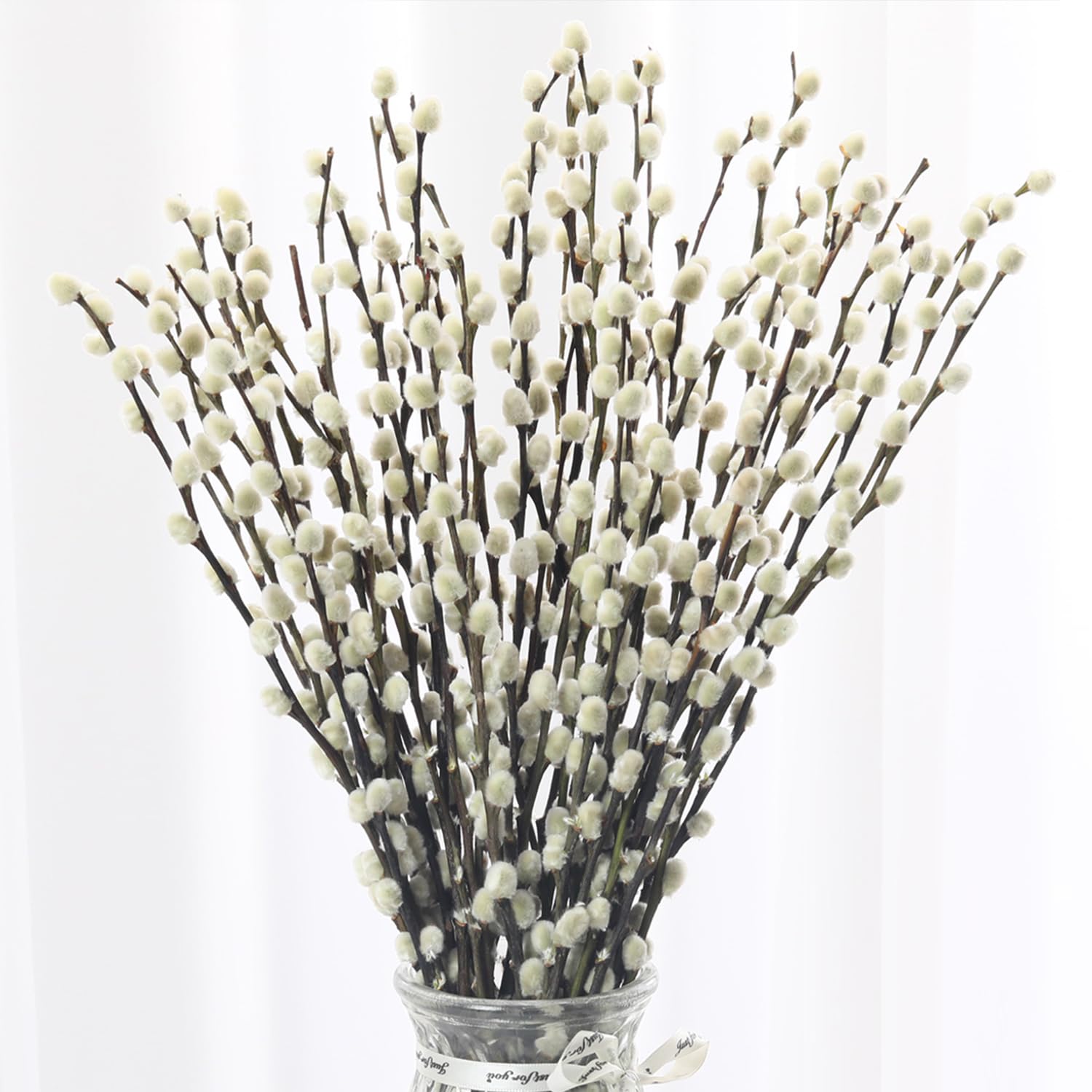 Jtoder 40 Stems Preserved Pussywillow Branches