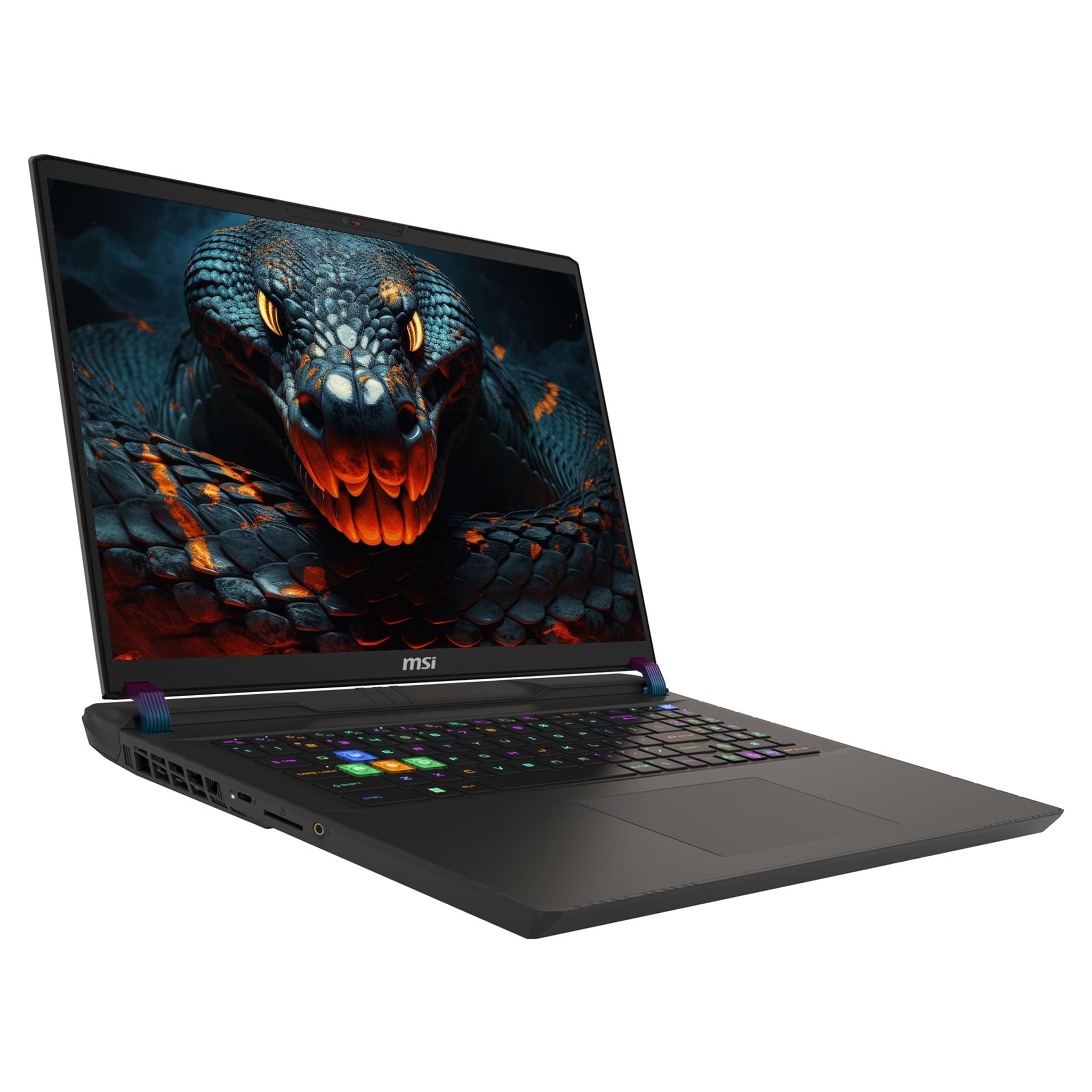 Amazon.com: msi Vector 17 HX Gaming Laptop, Intel i9-14900HX, 32