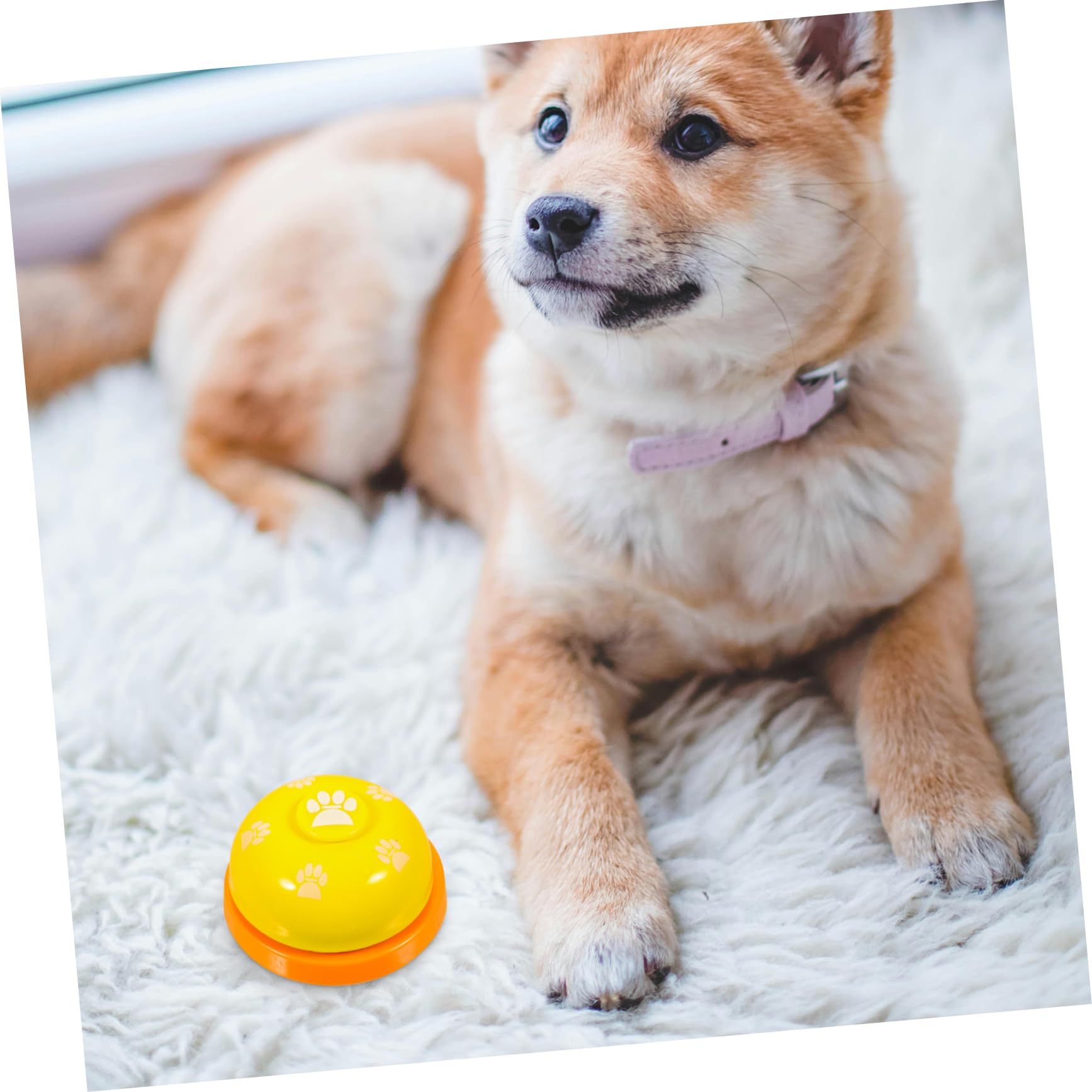 COSMEVIVI Dog Training Bell Pet Doorbells for Potty Puppy Playtime Pet Training Press Bell