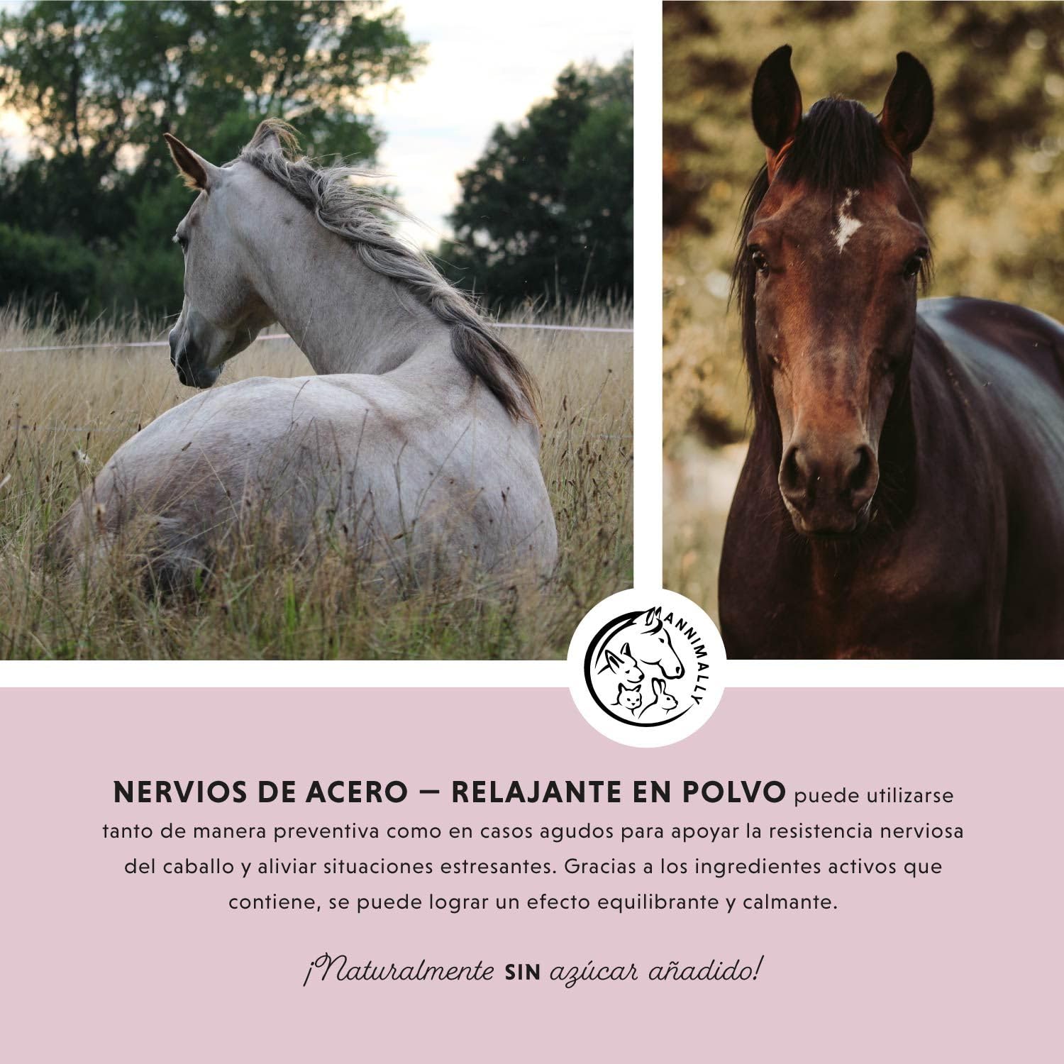 Annimally Fuerza Nerviosa - Polvo Relax para Caballos 850g para la calma en caballos - Hierbas para los nervios con magnesio, triptófano, valeriana, pasiflora y aceite de cáñamo contra la ansiedad, el