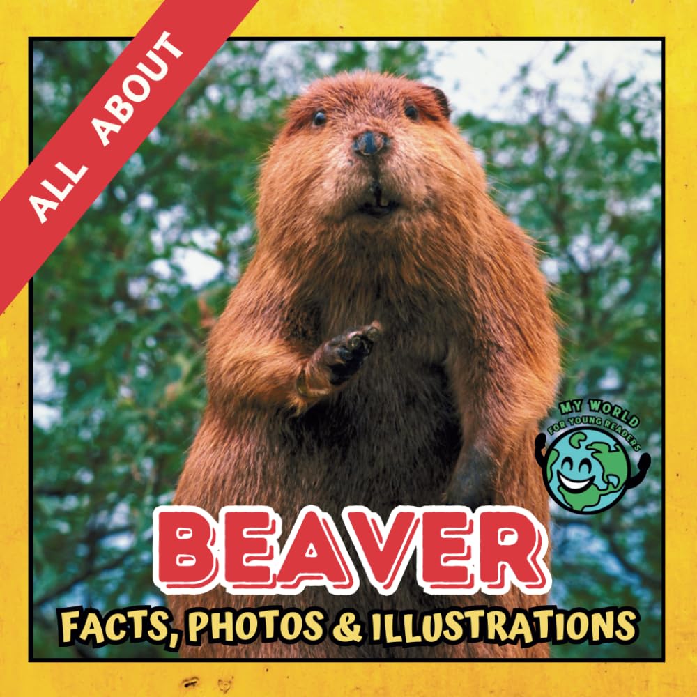 All about Beaver | Facts, Photos and Illustrations: A Picture Book for Curious Children | Screen-Free Infotainment (MY WORLD for YOUNG READERS)
