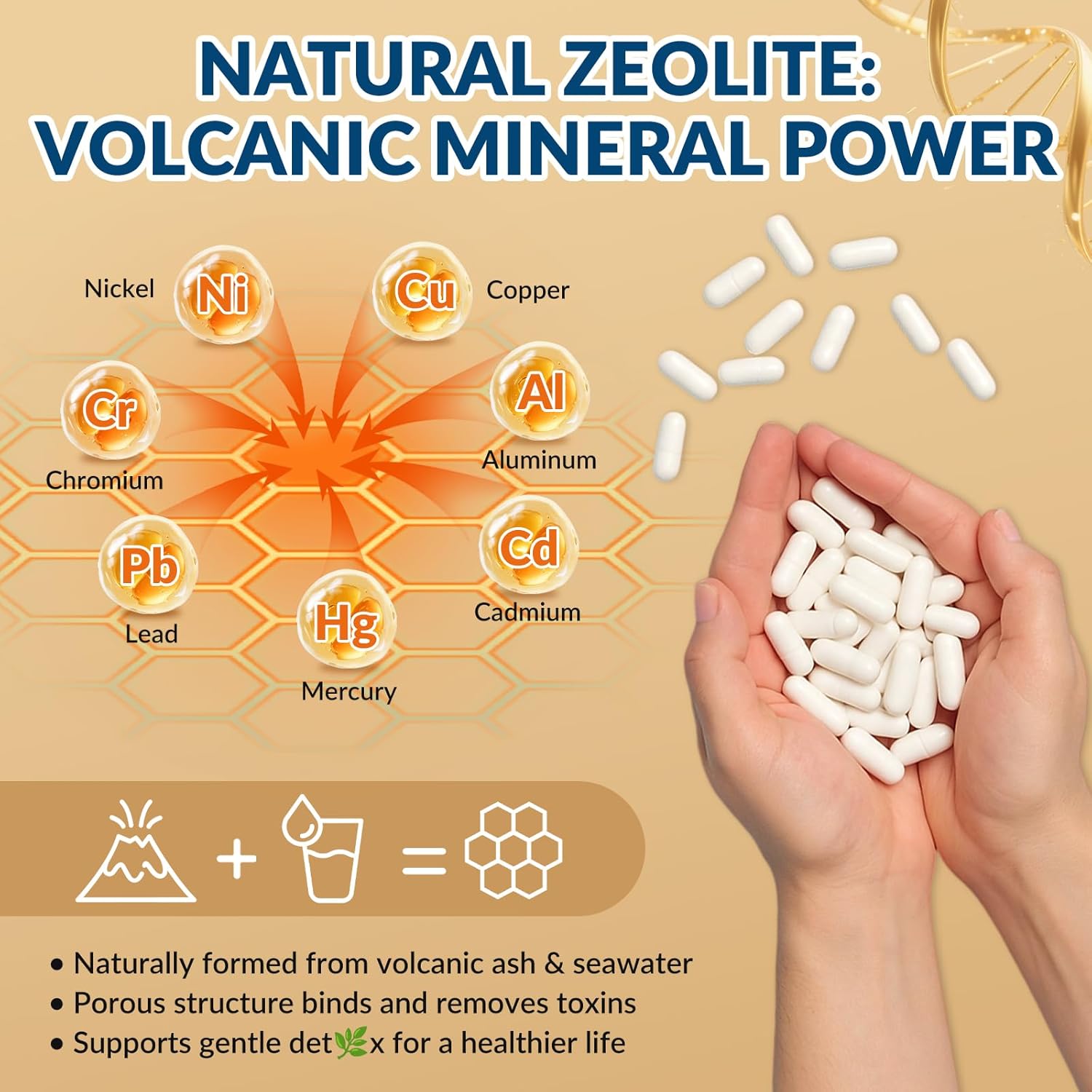 Zeolite Detox Capsules – Clinoptilolite Zeolite Supplement with Milk Thistle, Chlorella, Curcumin & PQQ for Gut, Liver & Full Body Detox Cleanse, Antioxidant & Immune Support – 60 Capsules - Image 6