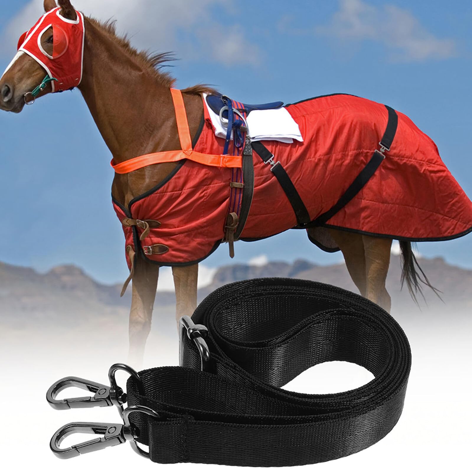 Cinghie per Coperte da Cavallo - Corda Elastica per Coperte Equine | Fascie Elastiche Multifunzionali Per Allevamento, Fattoria, Attività Equestri E Outdoor