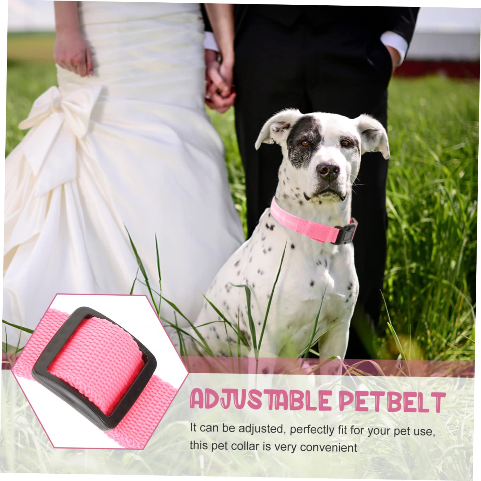 BESPORTBLE 4juegos Collar para Perros y Gatos Collar De Seguridad Recargable por USB Diseño Práctico y Creativo para Paseos Nocturnos para Mascotas De Mediano