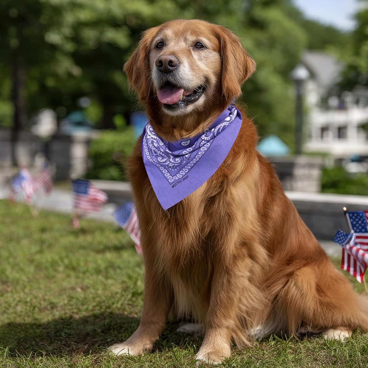 Jaciya Bandanas for Women Men 22"x22" Cotton Bandana Large Bandana Head Scarf 6 Packs - Image 6