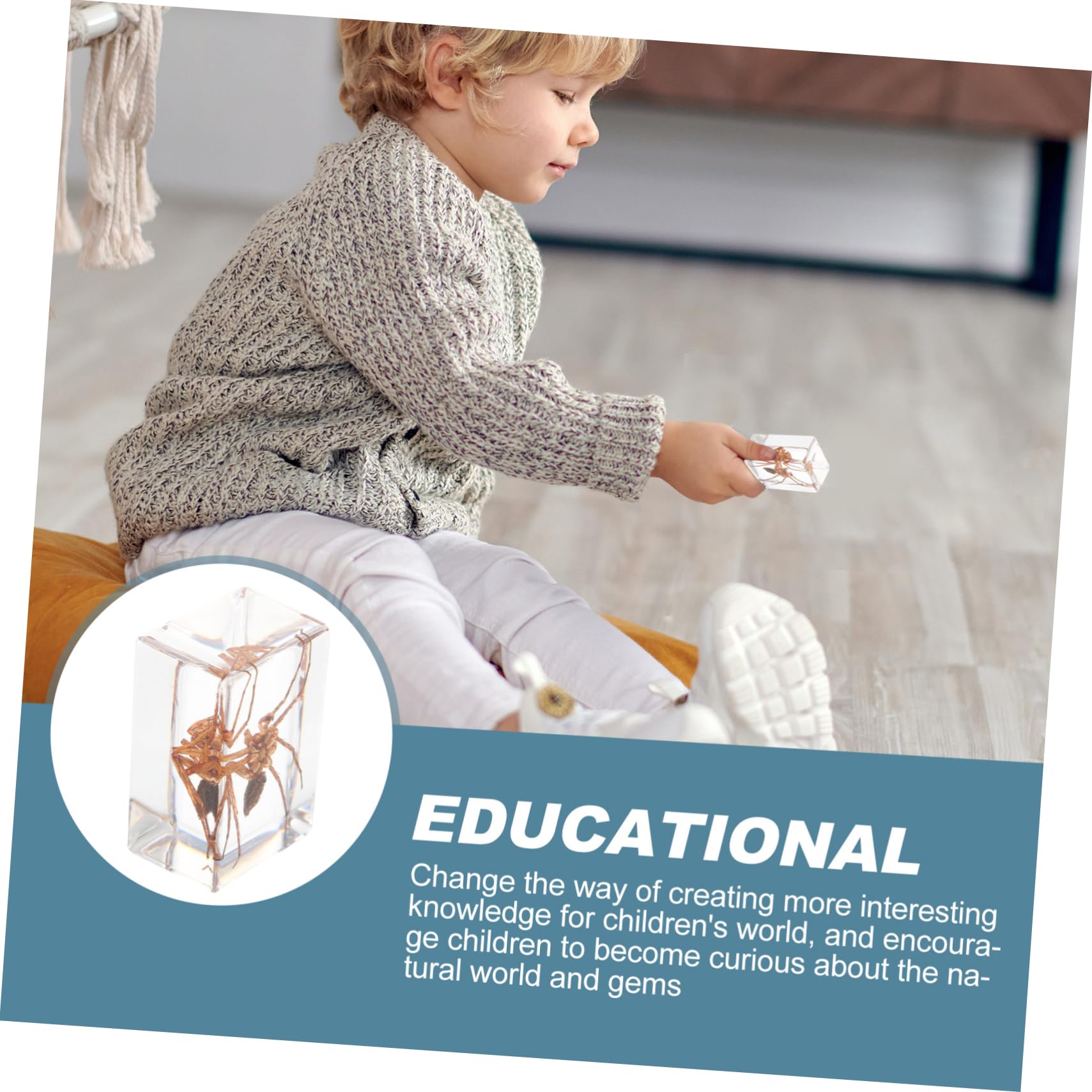 PartyKindom Education Resin Specimen Tarantula Spider Specimens Bulk for Office Decorations