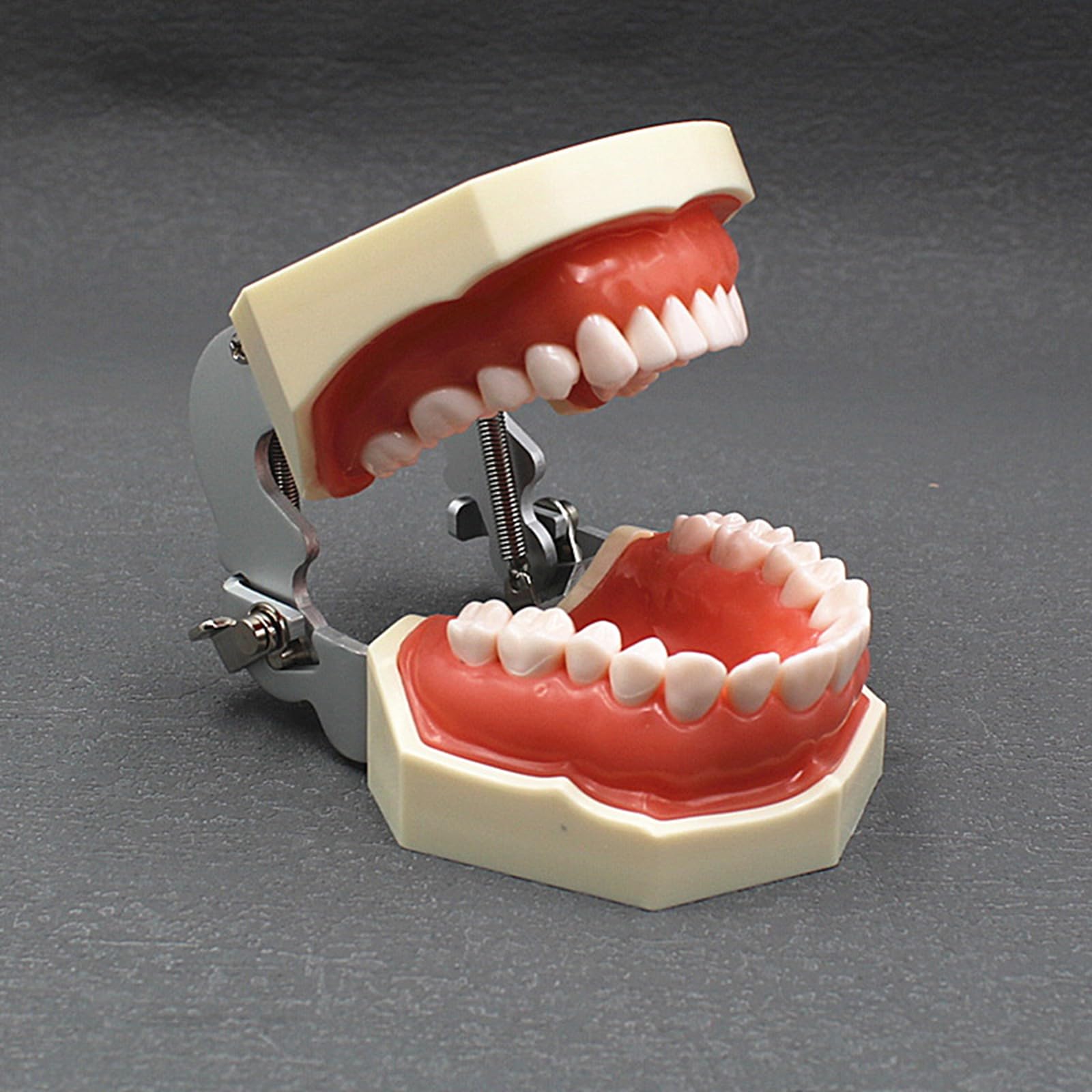Kit diga in Gomma endodontica Dentale - Set di Strumenti per la Pratica della Scheda di punzonatura della diga in Gomma - per l'educazione scientifica all'esame Orale Dentale,B,25cm