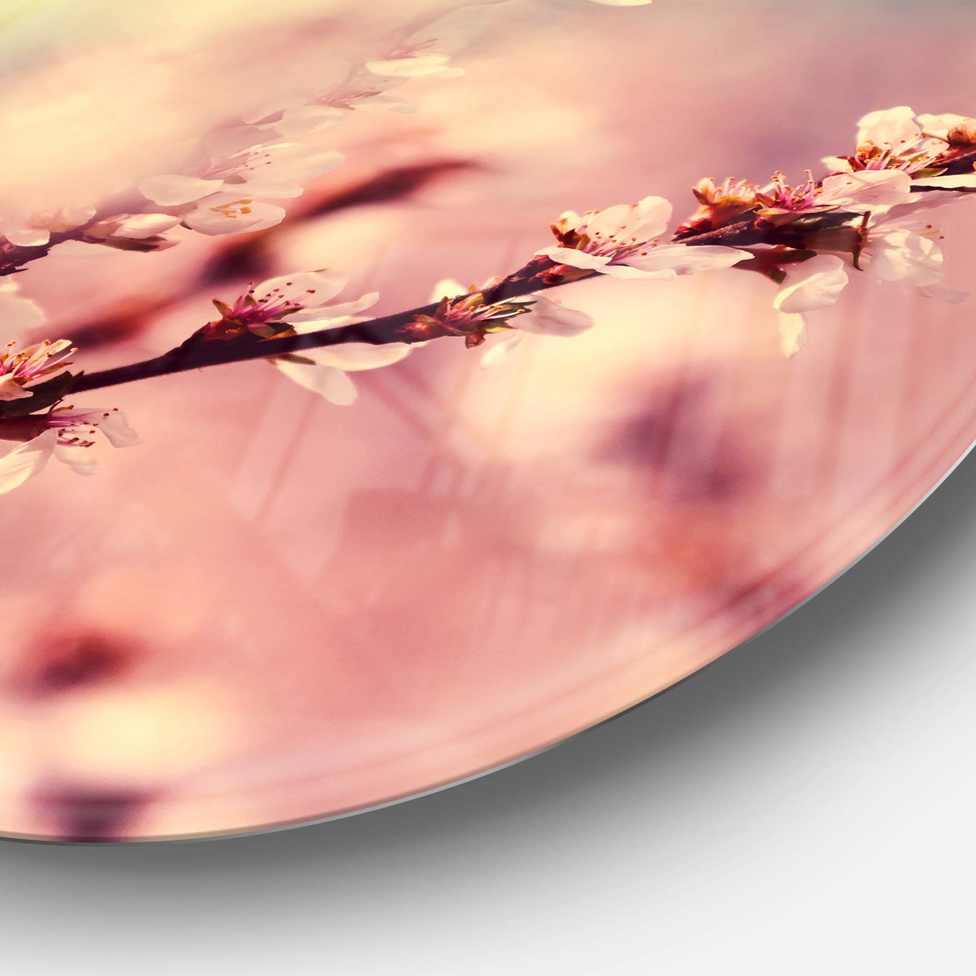 Designart MT12280-C11 Blossoming Cherry Branches Floral Disc