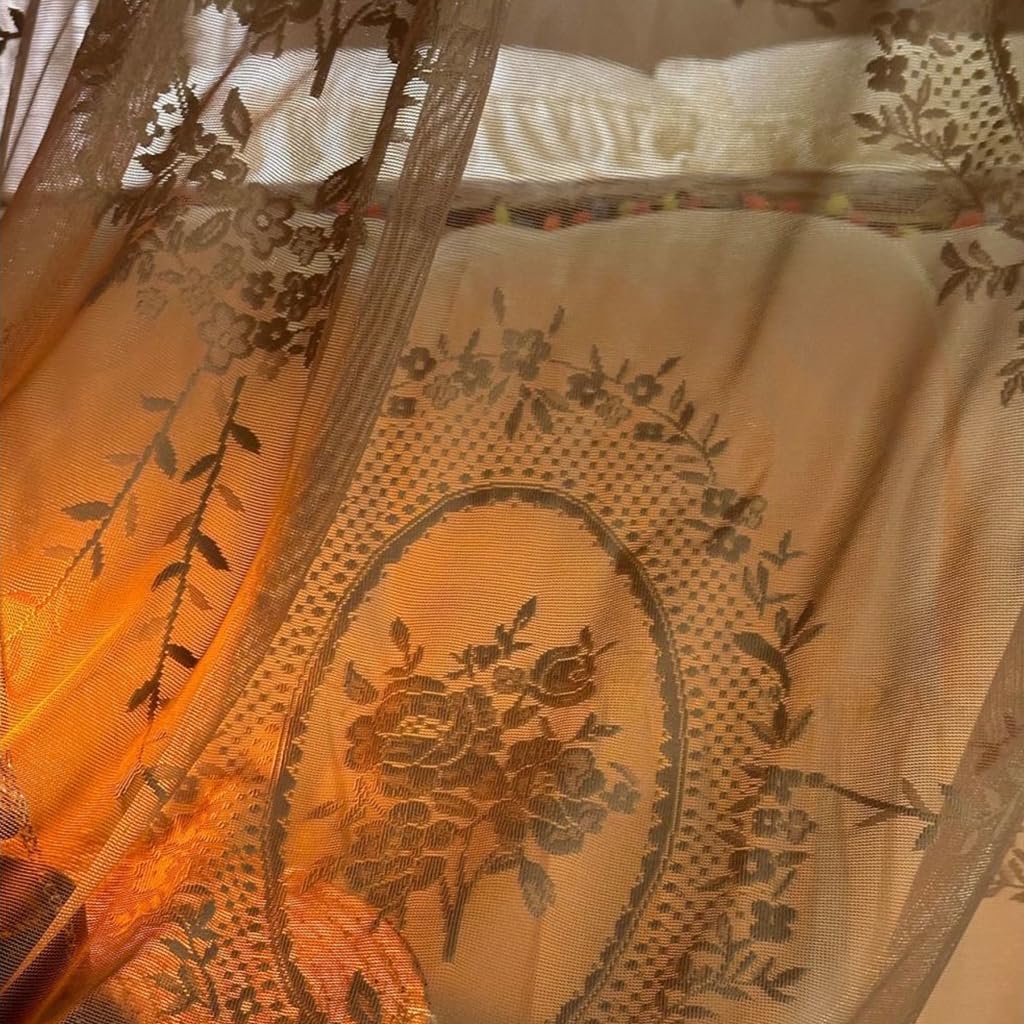 Elegante Spitze Prinzessin 4 Eckpfosten Moskitonetz Romantisch für Mädchen Frauen Bettvorhang Baldachin für Erwachsene Hochzeit Schlafzimmer Kinderzimmer Dekoration (Kaffee-2, Queen)