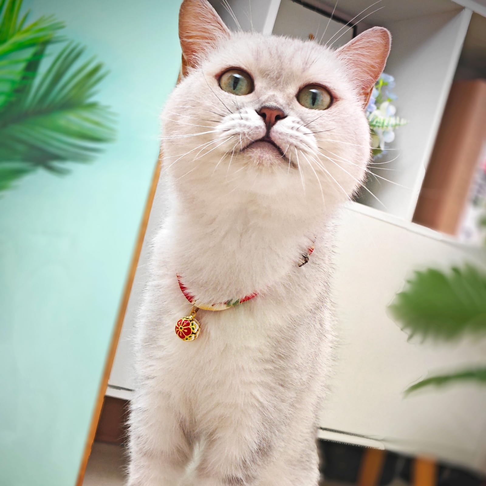 Go to store page for "Plum Collars". - image 4
