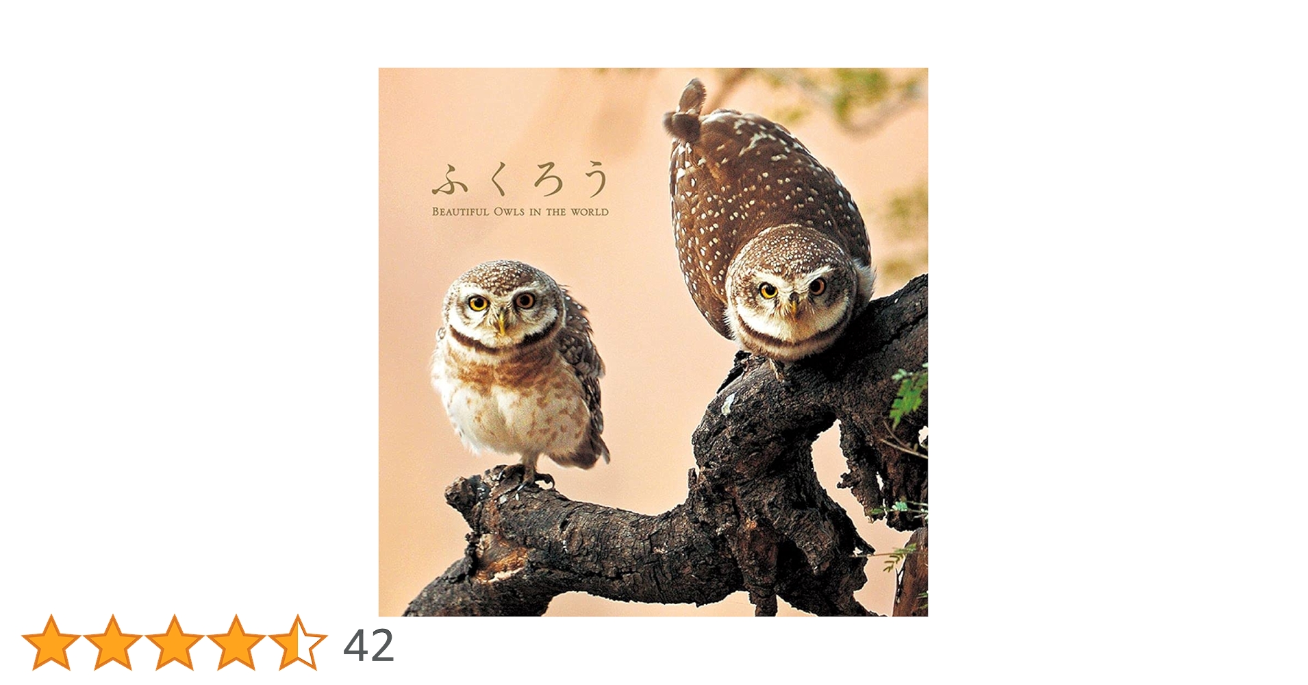 ふくろうページ‼️ Amazon.co.jp: ふくろう : Japanese Books
