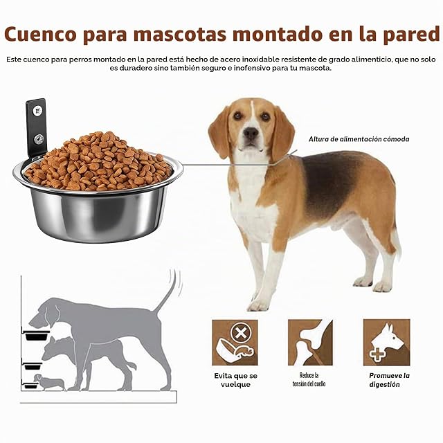 Foto 3 de 6 de GOEDCH Juego de pared para perros: 2 comederos de acero inoxidable desmontable para perros