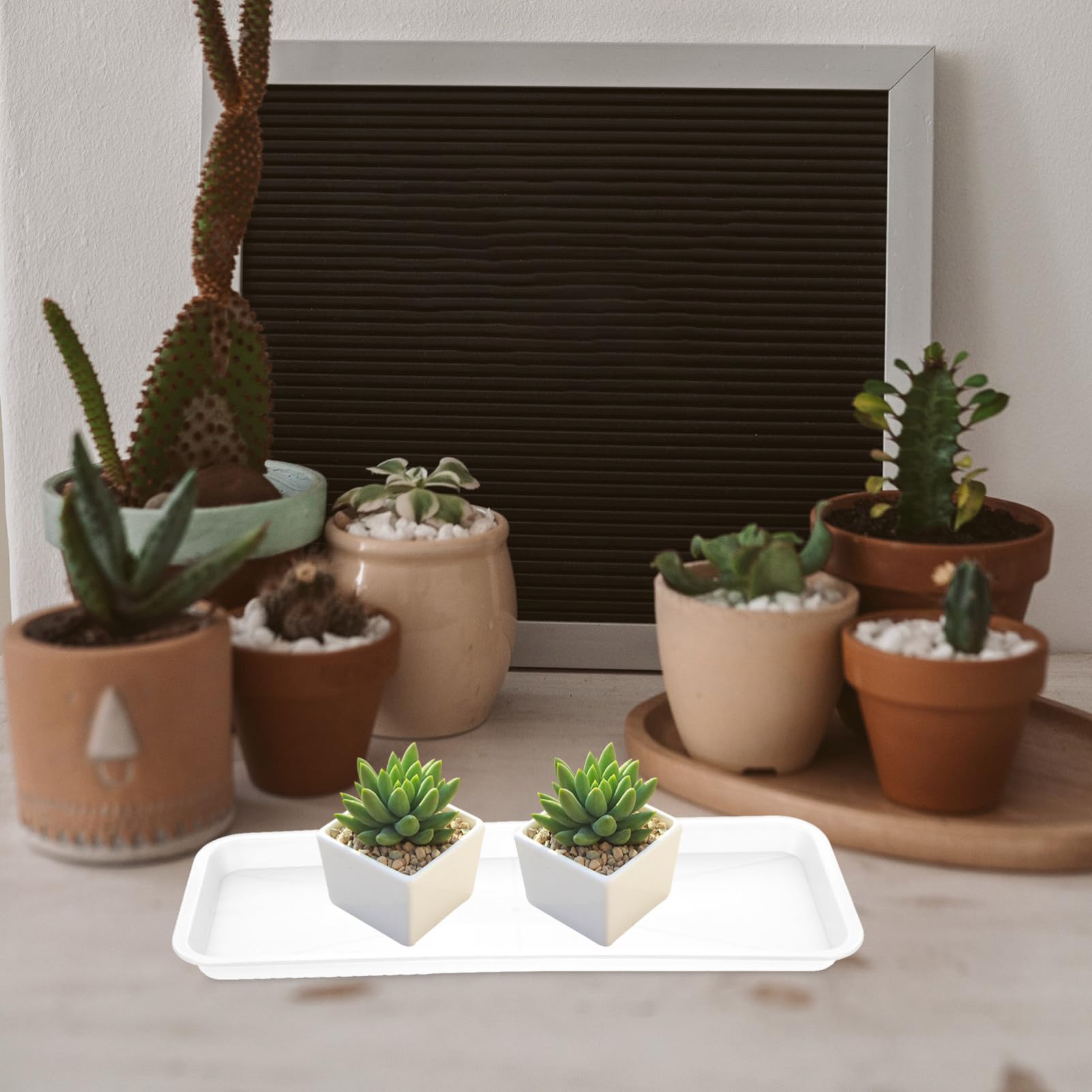 Didiseaon 10pezzi Sottovasi Rettangolari Vassoio per Piante in Pp Supporto Antiscivolo per Fioriere e Bonsai per Uso Domestico e Giardino