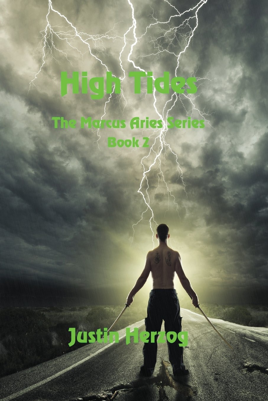 Cover of High Tides