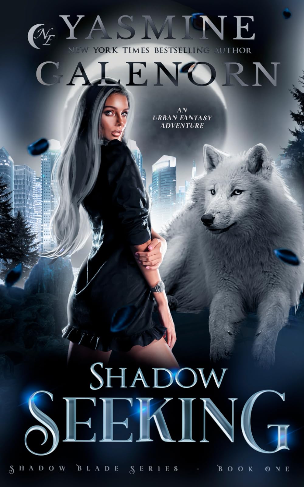 Shadow Seeking: An Urban Fantasy Adventure: 1 (Shadow Blade Series)