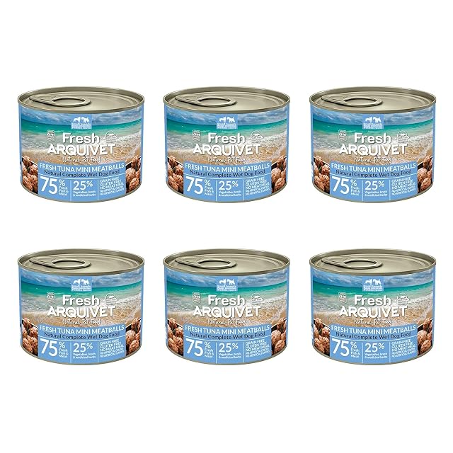 ARQUIVET - Pack 6 Unidades Fresh Tuna Meatballs - Latas de Mini albóndigas de Atún - Latas de 200g