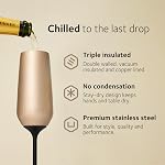 Huski Champagne Flute | Nouveau design primé avec tige amovible en acier inoxydable haut de gamme verre de champagne avec lime 240ml Grande capacité (Champagne)