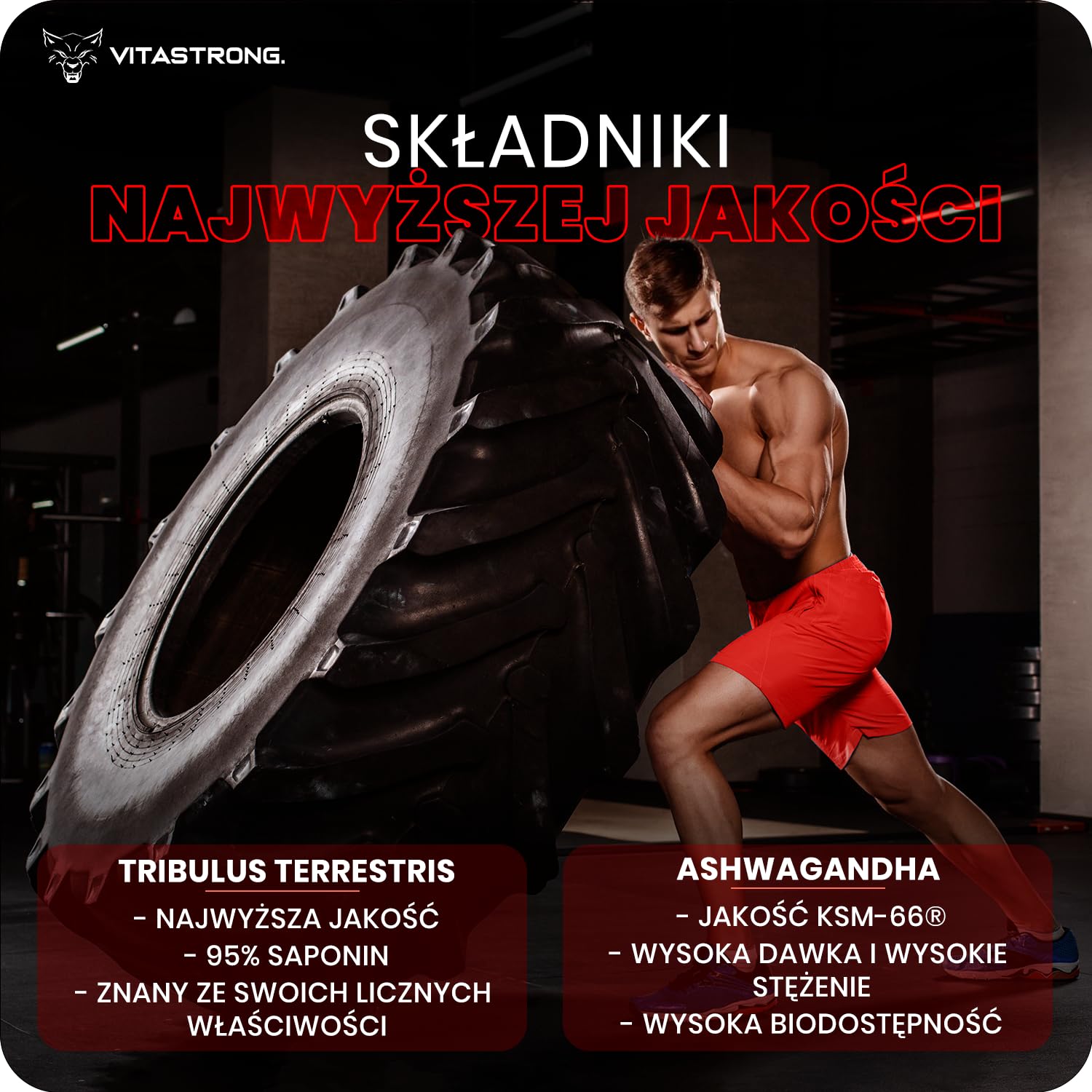Vitastrong TESTOBOOSTER JEDYNY ORYGINALNY z Patentowanymi Składnikami | Szybkie i Skuteczne Działanie, Wsparcie Czystej Masy Mięśniowej, Tribulus Terrestris, Ashwagandha
