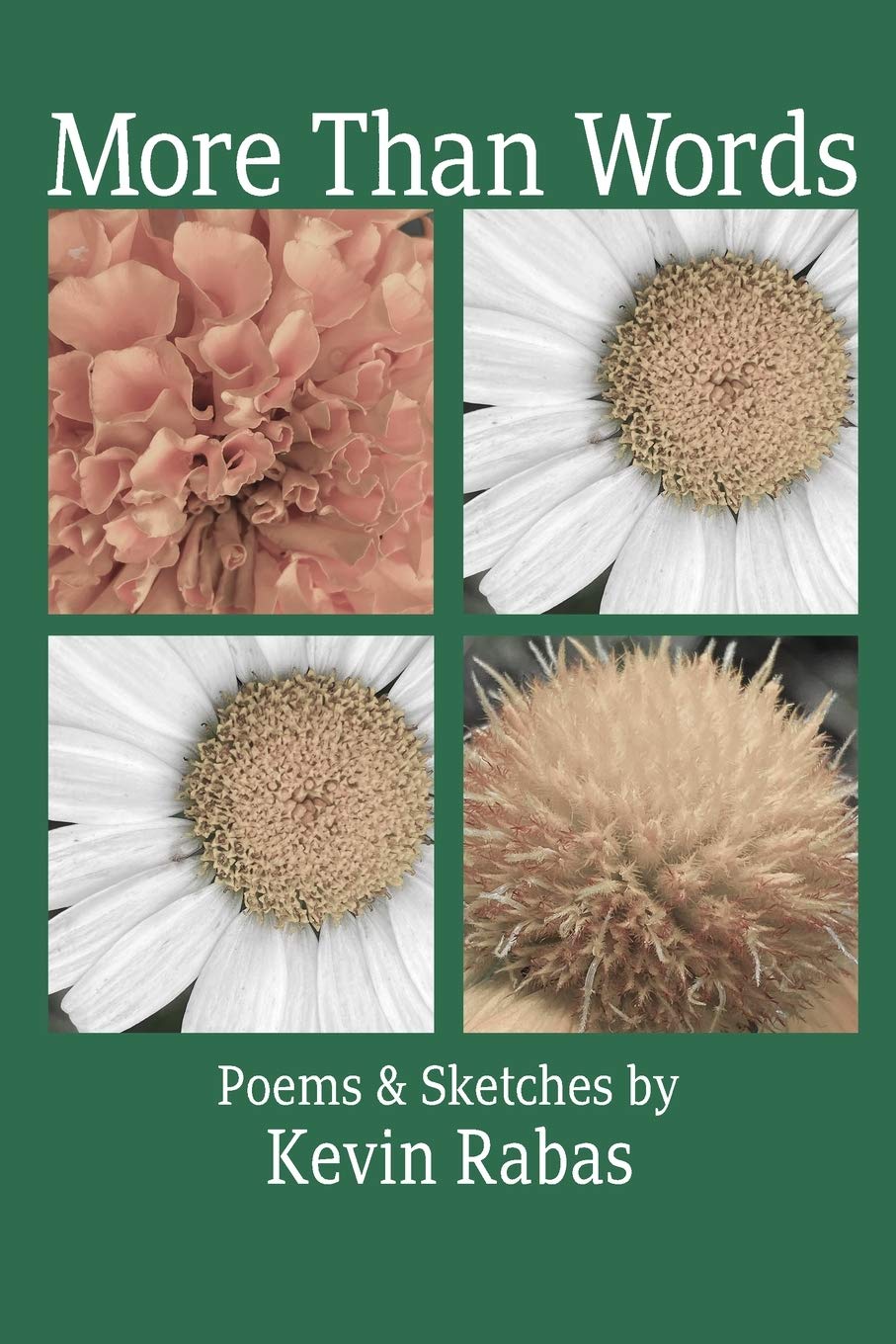 More Than Words: Poems & Sketches: Rabas, Kevin: 9781736223215: Amazon ...
