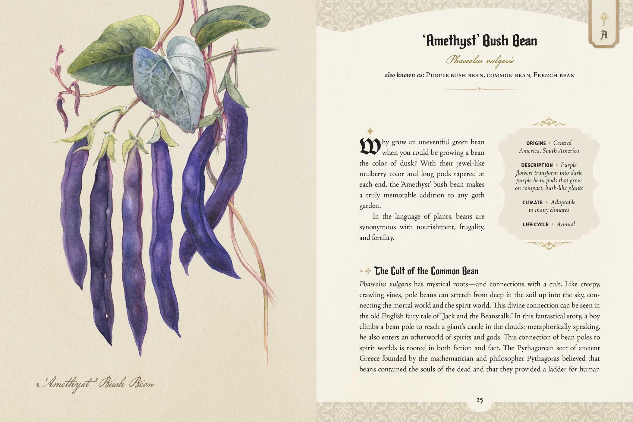 The Goth Garden: The Mystery, Beauty, and Lore of Dark Gardening
