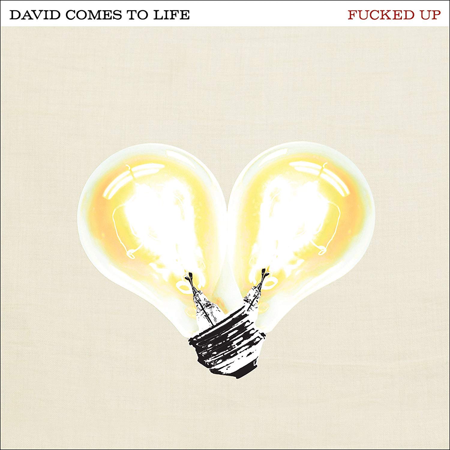 David Comes to Life [Audio CD] Fucked Up; 10,000 Marbles; Mr. Jo; Pink Eyes; Mustard Gas; Jennifer Castle; Young Governor; Kurt Vile; Gulag and Shane Stoneback