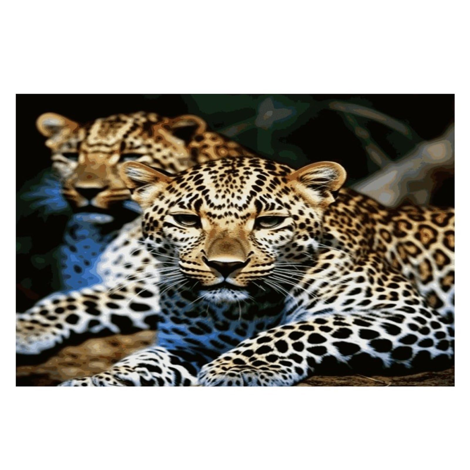 Leopard Placemats Heat-Resistant Washable Place Mats Anti Slip Dining Table Place Mats Wipeable Dining Table Mats Kitchen Decoration Placemats 17.7’’×11.8’’