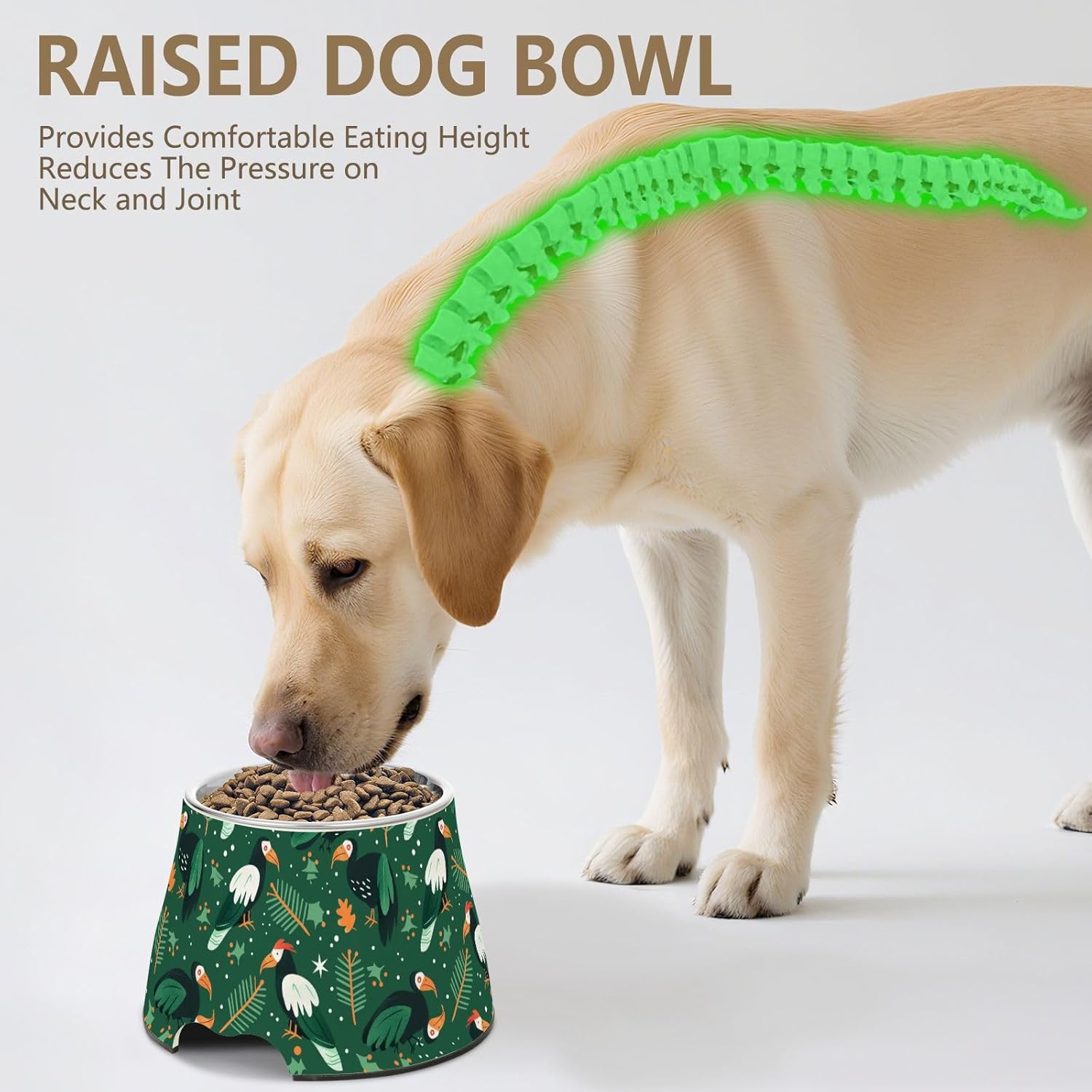 Emerald Green Playful Vulture Raised Pets Water Bowl Non Slip Stainless Steel Pets Basic Bowls for Loving Pet Slow Down Eating