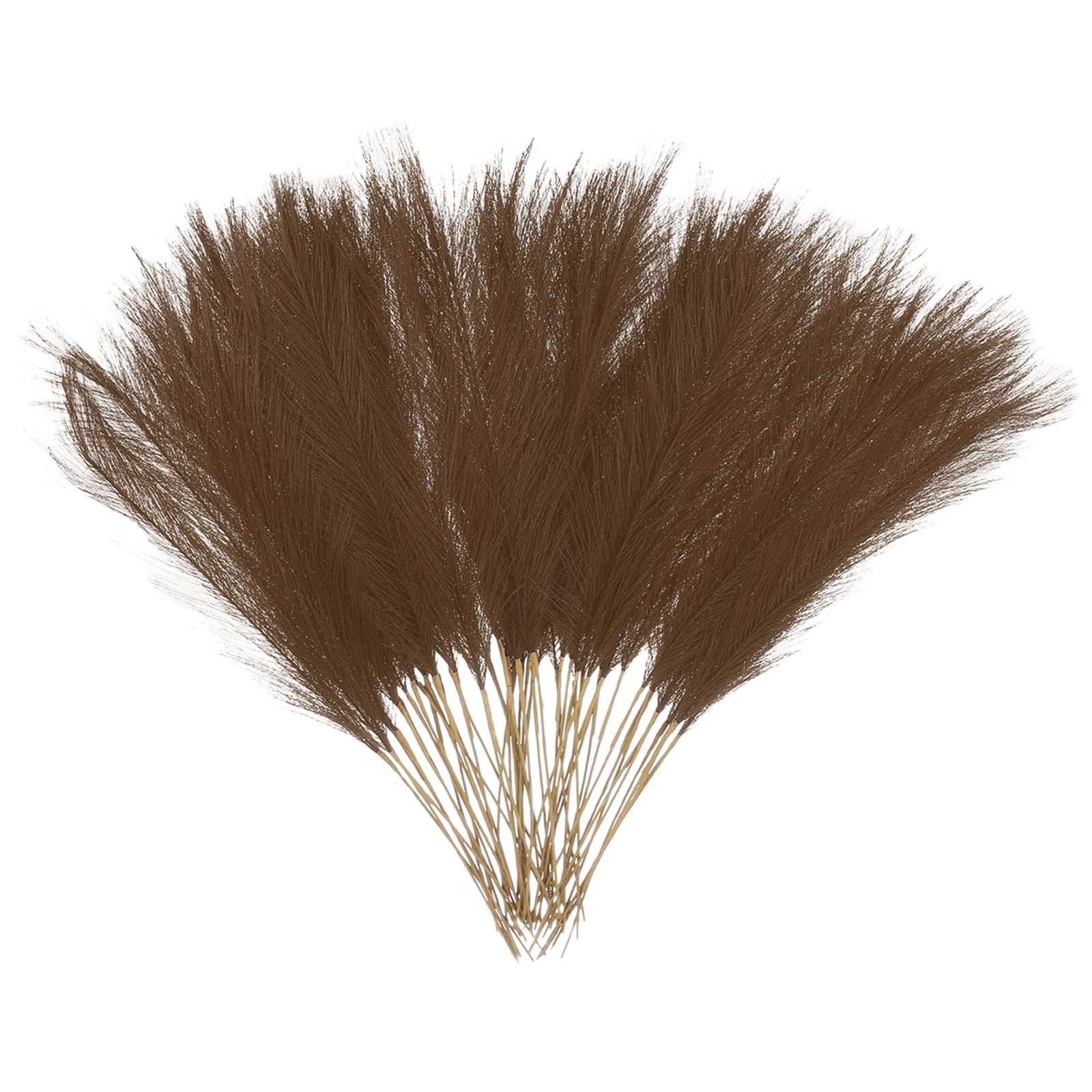 QUARKZMAN 50 Pcs Erba Delle Pampas Finta 52cm/20.5" Con Stelo Marrone Scuro
