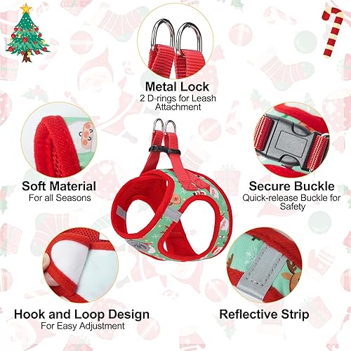 Miniatura 123 de BEAUTYZOO Juego de arnés y correa para perro, arnés reflectante para perro, sin tirones, sin estrangulamiento, para perros pequeños, medianos
