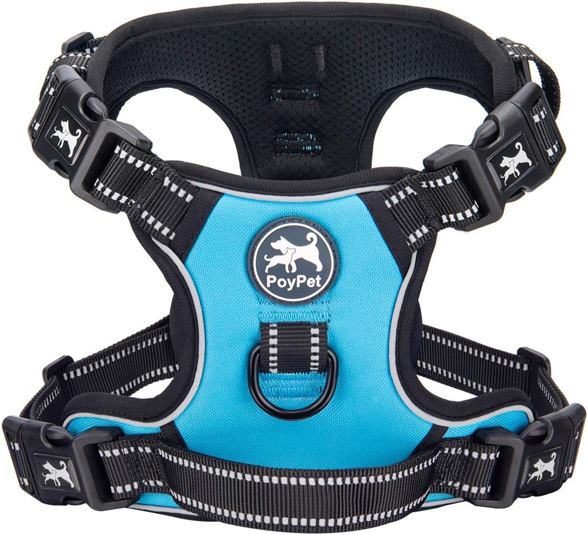2019 Upgraded No Pull Dog Harness with 4 Snap Buckles, 3M Reflective with Front & Back 2 Leash Hooks and an Easy Control Handle [NO Need Go Over Dog’s Head] (Blue,L)