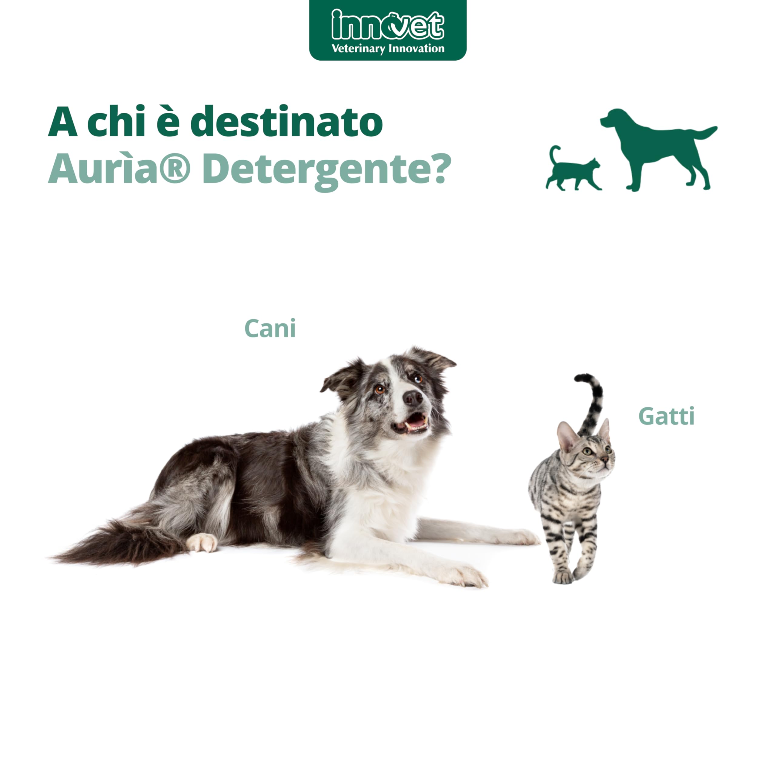 Innovet, Aurìa Detergente Auricolare Cani e Gatti, per la Pulizia di Orecchie Sensibili, Lavaggio Delicato dell'Orecchio Esterno, Ideale Contro Cerume e Cattivi Odori, 100 ml