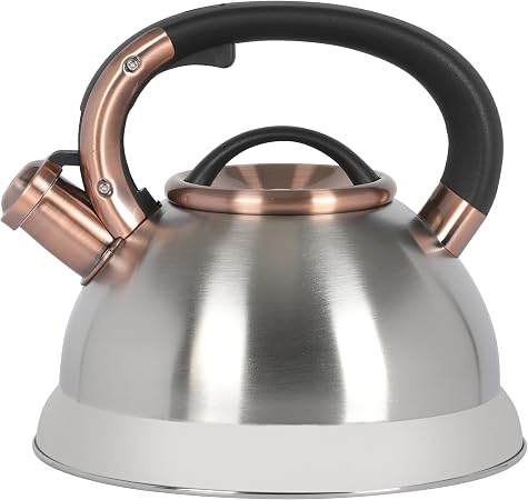 Mr. Coffee Flintshire 2.2 Quart Large Whistling Stainless Steel Tea