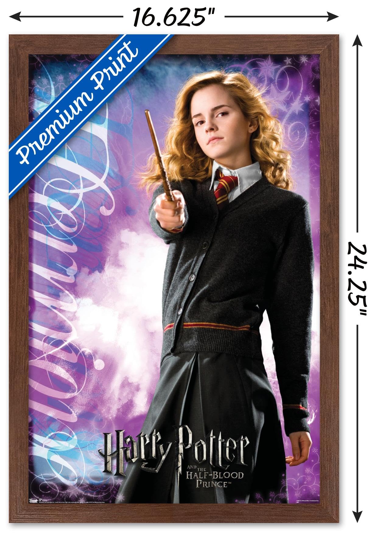 Versailles PRINCE&PRINCESS TERU ポスター Versailles