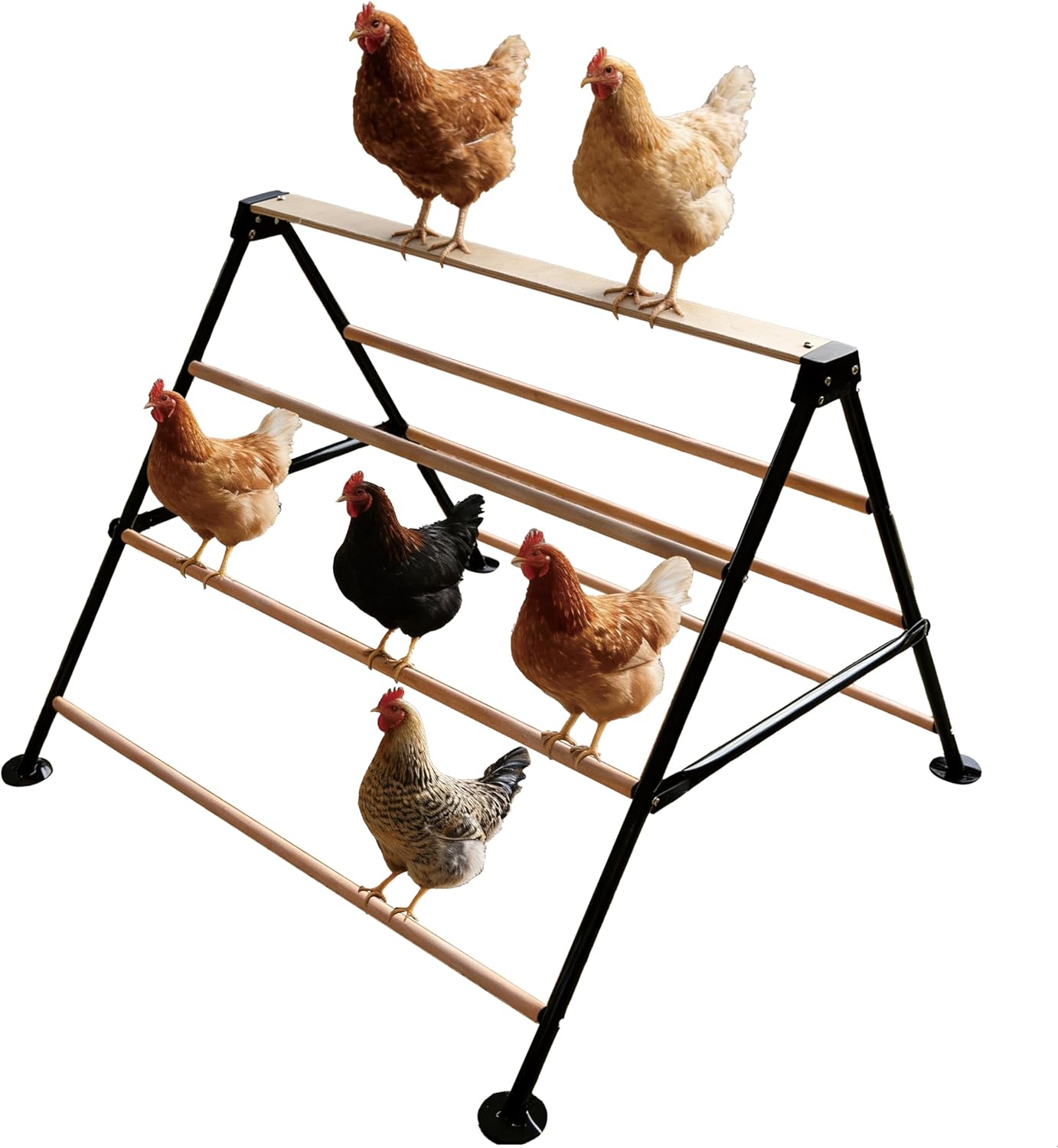 XCL Chicken Roosting Bars, Large Chicken Perch for Coop, A-Shaped Chicken Perch for Adult Chickens, Easy to Install Farm Chickens Roost Toys, Suitable for Backyard Poultry Perches, Accessories (L)