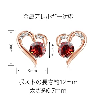 Amazon | FH.bird ガーネット ピアス レディース 金属アレルギー