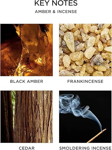 Miniatura 3 de NEST Fragrances Amber &amp; Incense - Vela perfumada de 3 mechas, 21 onzas