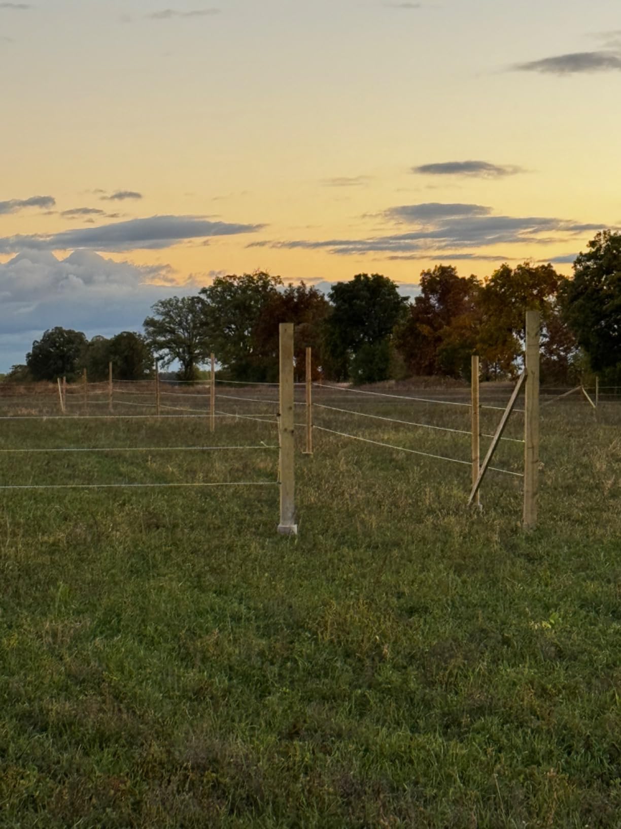 ElectroBraid ATENSIONKITEB Tension Kit Livestock Equipment Patio, Lawn & Garden