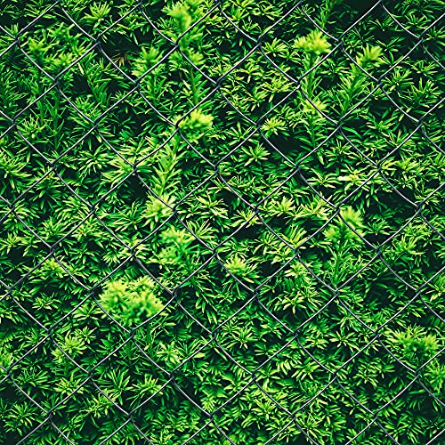 V2Aox Maschendrahtzaun 80 cm Höhe 25 m Länge Maschendraht Gartenzaun Zaun Draht Drahtgitter Drahtzaun Rolle Hasendraht… – Bild 7