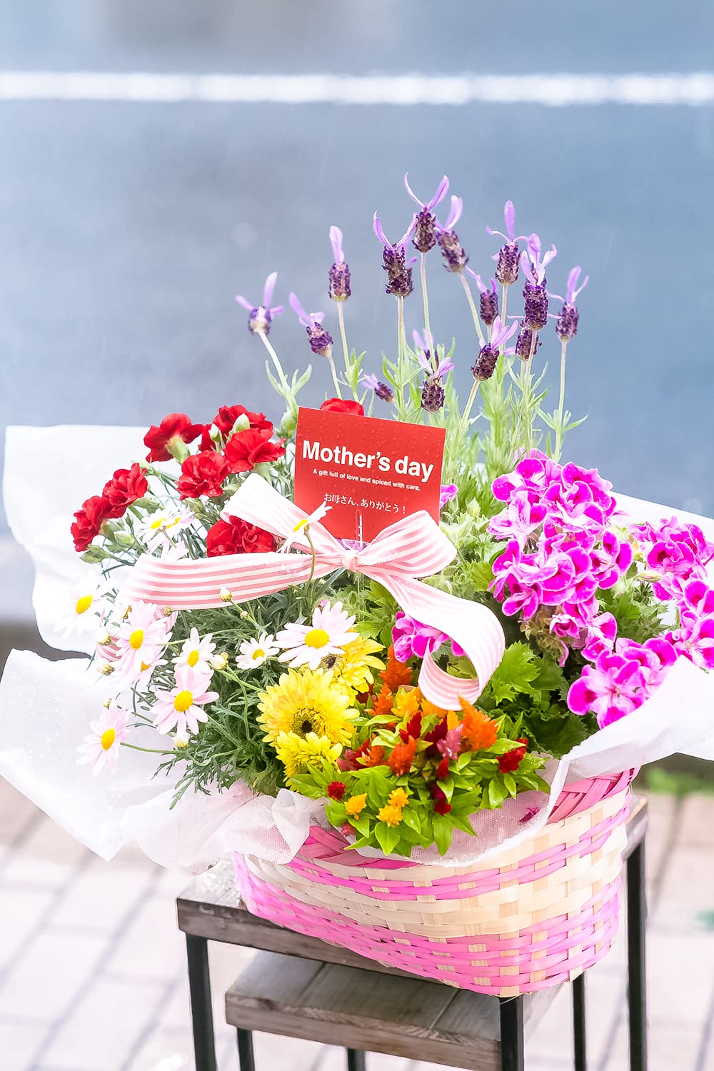 母の日にも♪ 寄せ植え 花□大人可愛いバスケット 【公式通販】