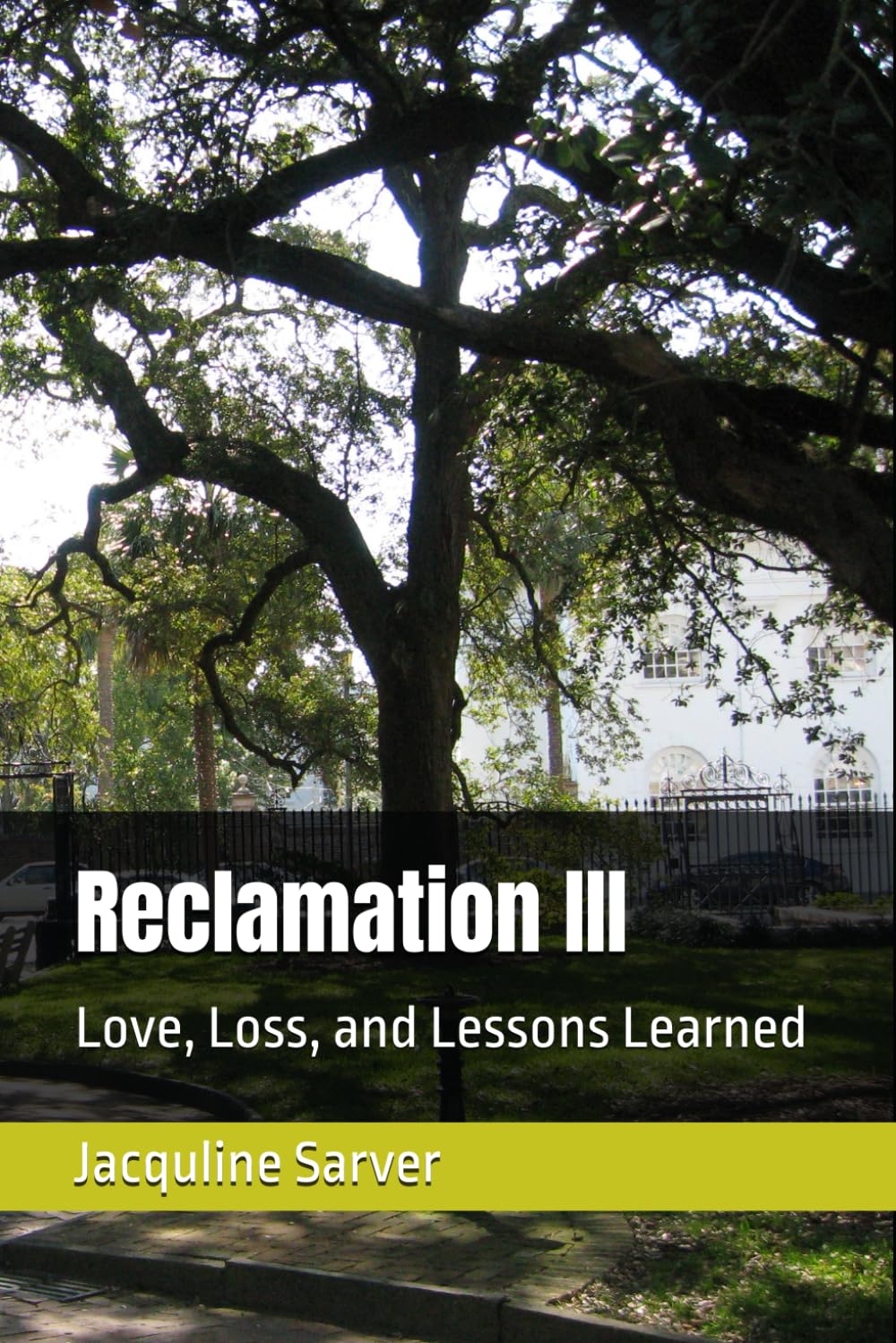 Reclamation III: Love, Loss, and Lessons Learned