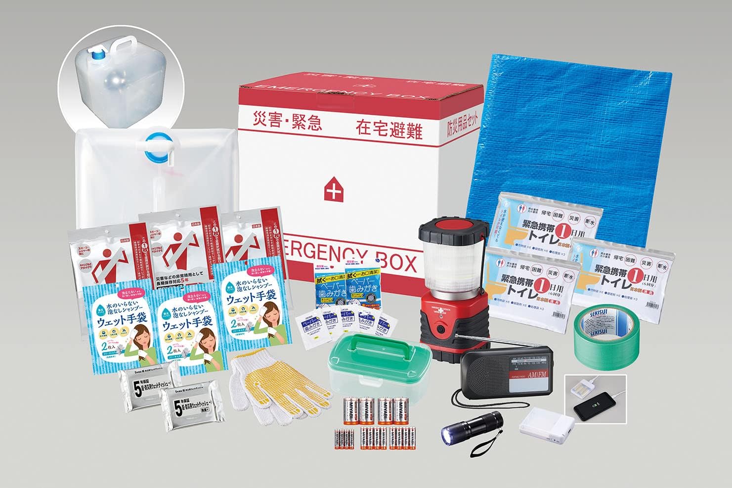 Zenith Power Outage Protection and Home Evacuation Box