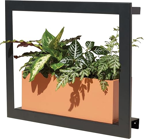 Modern Sprout Smart Growframe - Luz LED de crecimiento montada en la pared con estante, color negro